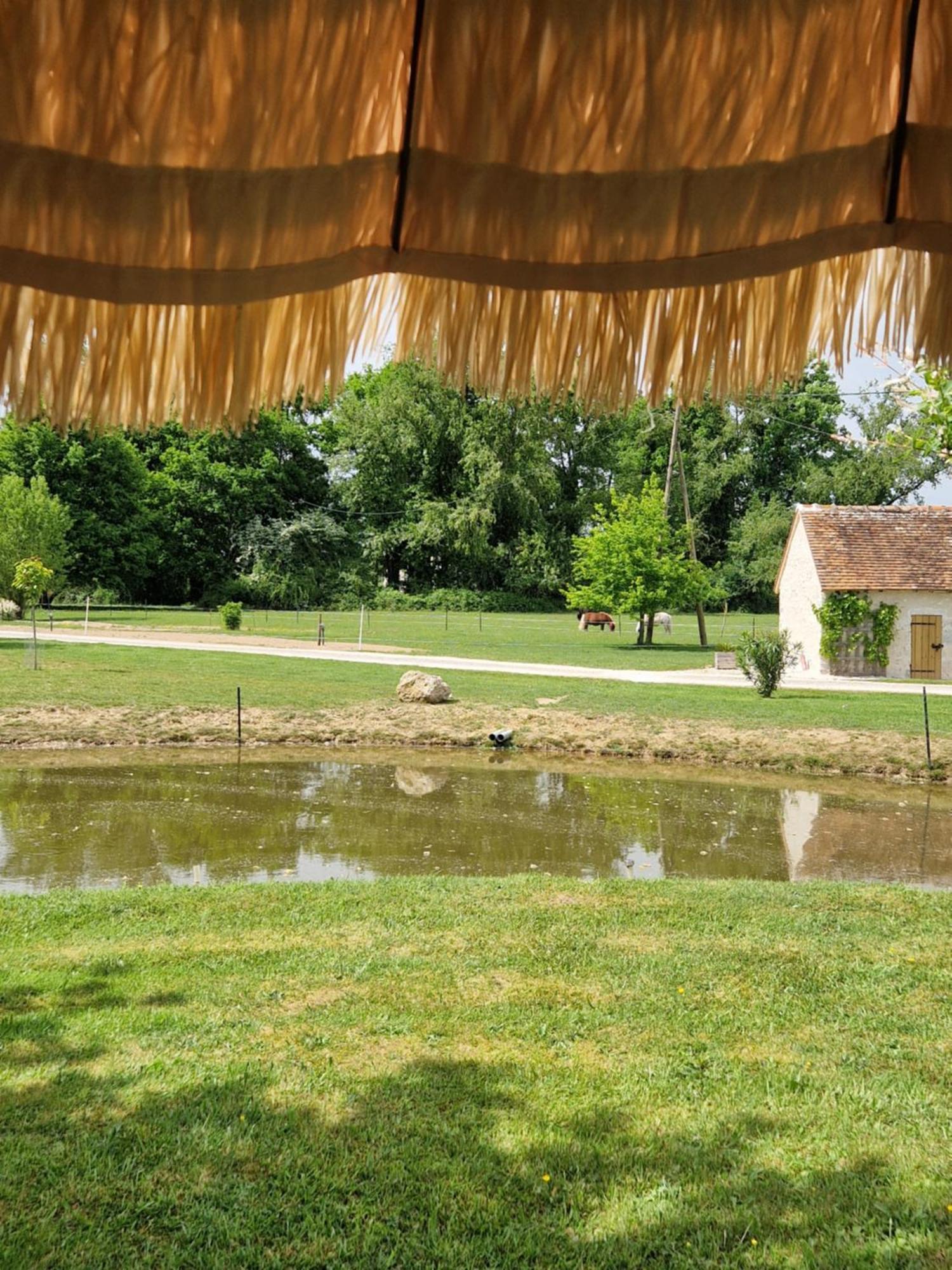 Maison De Campagne Soings-en-Sologne Exterior foto